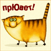 TTe4eHbko /